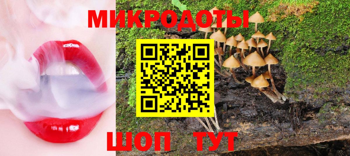 Псилоцибиновые грибы GOLDEN TEACHER Артёмовский