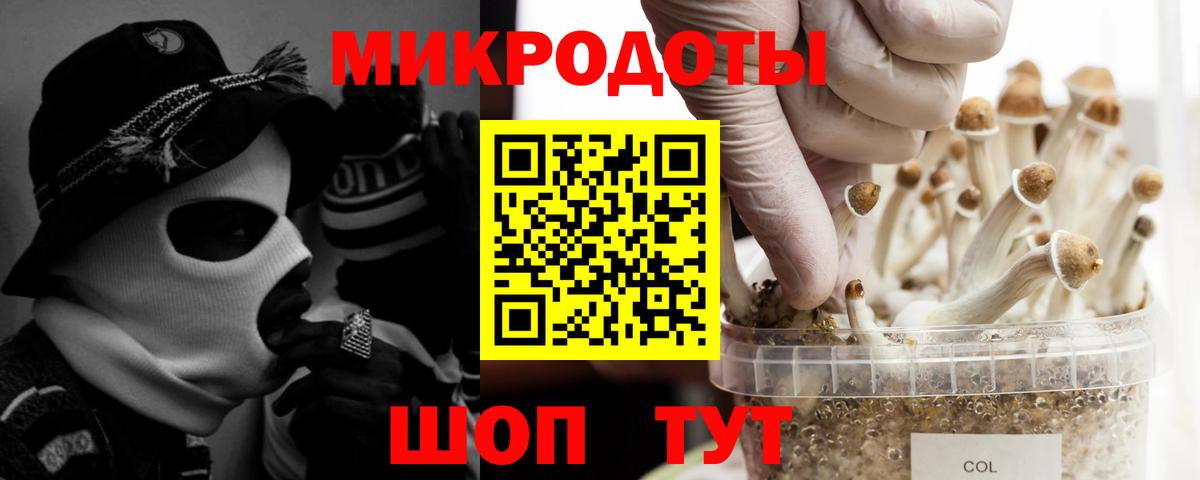 Галлюциногенные грибы ЛСД  цены наркотик  Вход с VPN  Артёмовский  Галлюциногенные грибы мицелий 